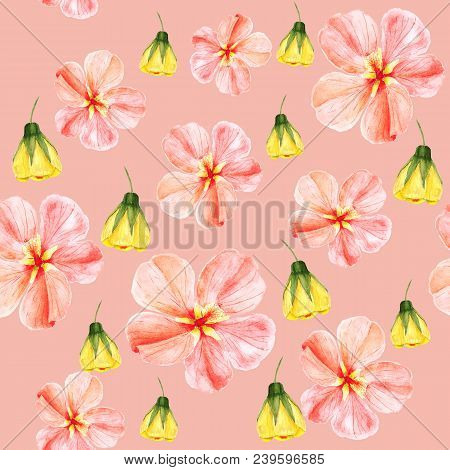 Handpainted Watercolor Seamless Pattern With Yellow And Red Mallow Flowers Abutilon On Pink Backgrou