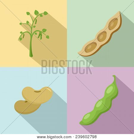 Soybean Soy Beans Seed Icons Set. Flat Illustration Of 4 Soybean Soy Beans Seed Vector Icons For Web