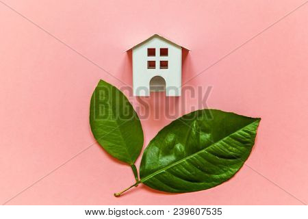 Miniature Toy Model House With Green Leaves On Pink Pastel Colourful Trendy Backgdrop. Eco Village, 
