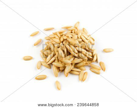 Melon Seeds Isolated