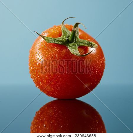 tomato with water drops isolated on the glossy blue background
