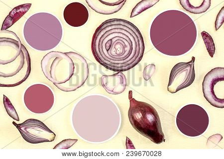 Red Onions (halves, Rings, Slices) And Color Samples. Natural Color Palette. Shades Of Purple. Disco