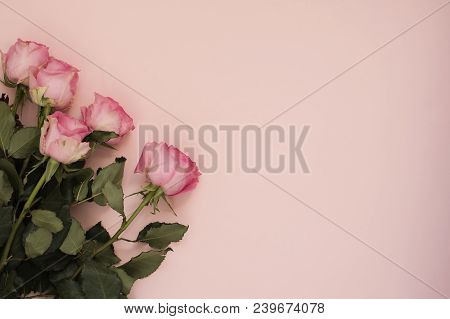 Stunning Pink Bouquet Of Roses On Punchy Pink Background. Copy Space, Floral Frame. Wedding, Gift Ca