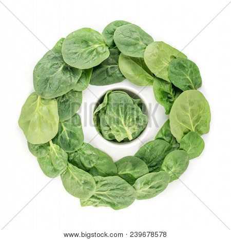 Fresh Spinach Leaves