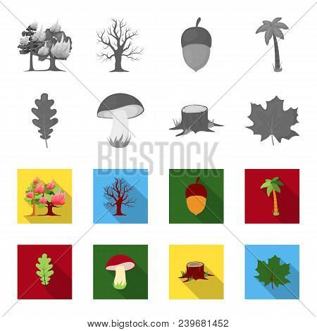 Oak Leaf, Mushroom, Stump, Maple Leaf.forest Set Collection Icons In Monochrome, Flat Style Vector S