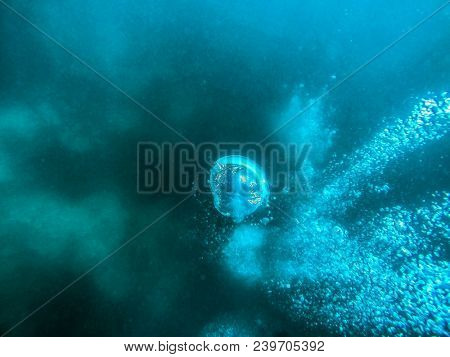 Air boobles in blue sea water. Maldives.