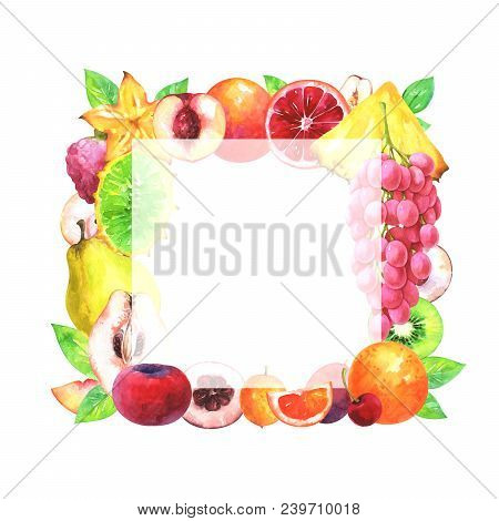 Hand Painted Square Fruit Frame. Watercolor Pineapple, Horned Melon, Grapes, Velvet Apple, Ximenia, 