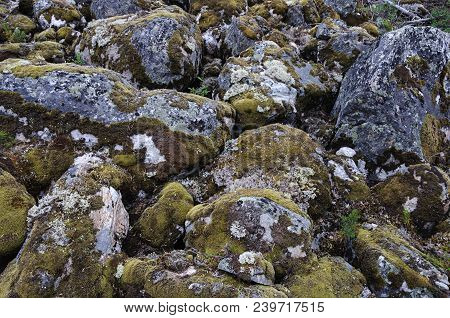 Moss-grown Gray Stones In Tundra, North Of Russia