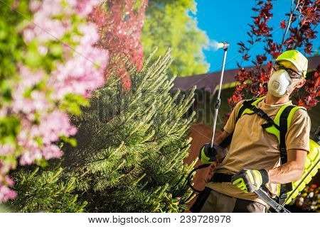 Garden Plants Insecticide. Caucasian Gardener With Professional Insecticide Spraying Equipment.