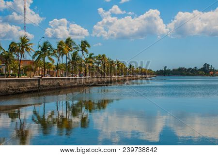 Cienfuegos, Cuba: Promenade In The City, Coconut Palm Trees Are Reflected In The Water. Sunny Day Wi