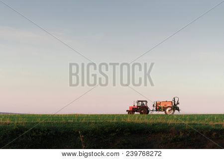 Tractor Spraying Pesticides On Field With Sprayer At Sunset. Sky Background