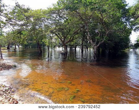 Praia No Rio Negro Manaus Amazonas Brasil.
