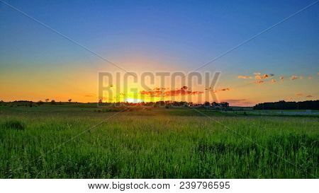 A Calming Field For The Sun To Rest Upon.