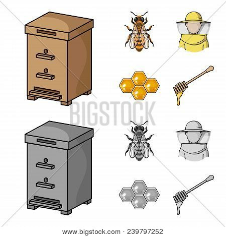 The Bee, The Bee-keeper In The Mask, The Honeycomb Of The Honey.apiary Set Collection Icons In Carto