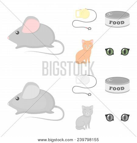 Mouse, Pet Leash, Pet Food, Kitten. Cat Set Collection Icons In Cartoon, Monochrome Style Vector Sym