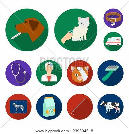 Veterinary Clinic Flat Icons In Set Collection For Design. Treatment Of A Pet Vector Symbol Stock  I