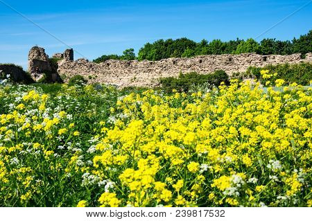 Ruins Of Koporye Fortress In Leningrad Region Near Saint-petersburg, Russia