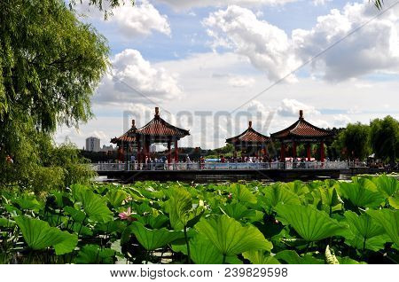 Changchun South Lake Park in Jilin
.Photographed in Changchun, China