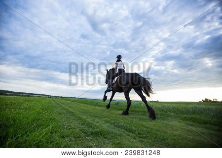 Beautiful woman riding a black friesian horse on spring meadow.