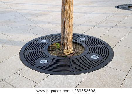 Led Lamps To Illuminate The Tree In The Park. Tree Trunk.