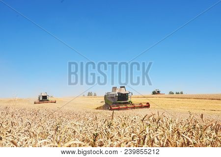 Ternopil - July 20: A Few Combines Cutting A Swath Through The Middle Of A Wheat Field During Harves
