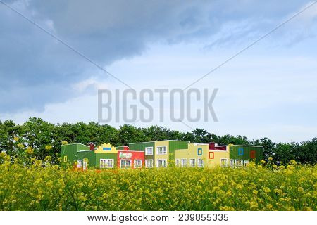 The Building Of A Kindergarten Behind A Clearing Of Yellow Flowers.