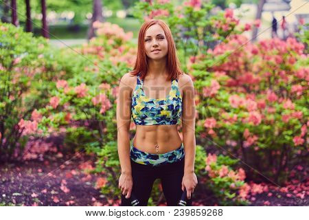 Redhead Female Doing Youga In A Summer Park.