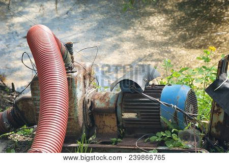 Old Pump With A Thick Red Fire Hose Is Drying Swamp. Pumping Water From The Pond.