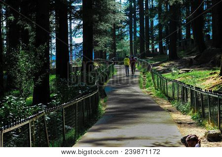 Manali, India, April 2018 - Two Unidentified Tourists Walking Across The Path In Hidimba Temple, Man