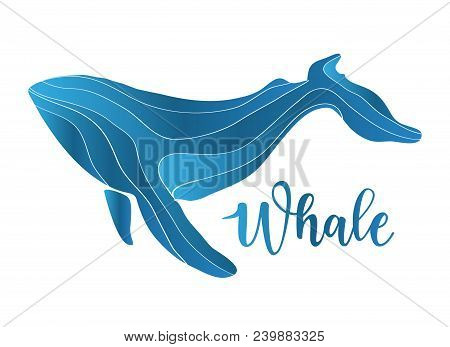 Vector Illustration Of An Abstract Whale Logo Deign