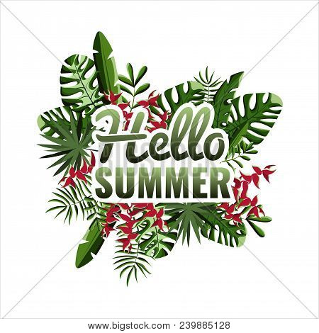 Hello Summer. Palm Leaves Background. Party Poster. Stock Vector