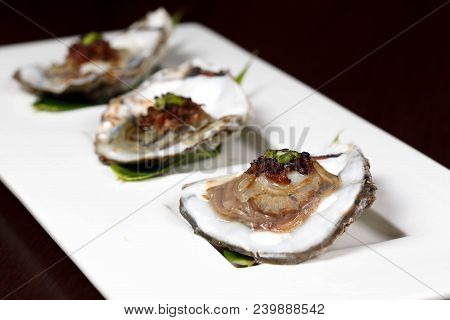 Oysters On The Half Shell Appetizer Shellfish Mollus