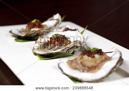 Oysters On The Half Shell Appetizer, Shellfish, Mollus