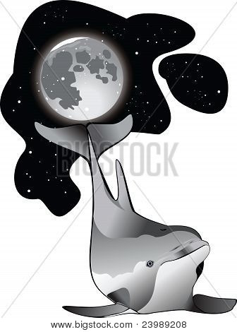 Dolphin leger med månen.