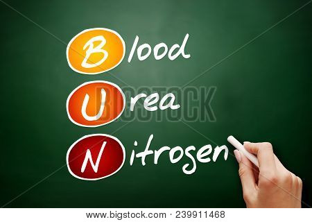Bun - Blood Urea Nitrogen Acronym, Concept On Blackboard