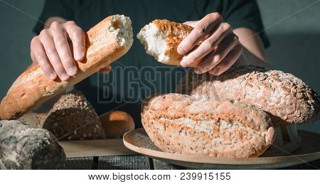 Baker Holding Fresh Bread In Hands
