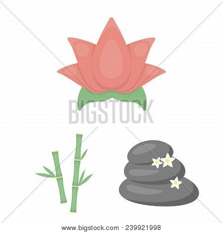 Spa Salon And Equipment Cartoon Icons In Set Collection For Design. Relaxation And Rest Vector Symbo