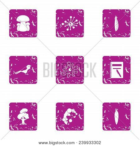 Forest Delicacy Icons Set. Grunge Set Of 9 Forest Delicacy Vector Icons For Web Isolated On White Ba