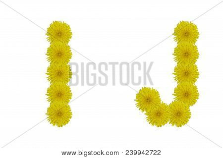 Floral Letters I, J Isolated On White Background. Latin Alphabet Made Up Of Alife Real Yellow Flower