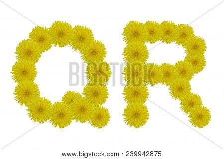 Floral Letters Q, R Isolated On White Background. Latin Alphabet Made Up Of Alife Real Yellow Flower
