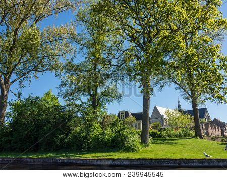 the City of alkmaar in the netherlands