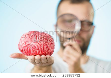 Adult Nerd Man Wearing Eyeglasses Looking At Human Brain Model. Thinking And Intelligence Conept