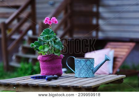 Seasonal Summer Garden Work Concept. Geranium Flower In Pot, Hat And Toold On Wooden Table Outdoor.