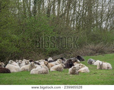 the netherlands near the City of eibergen