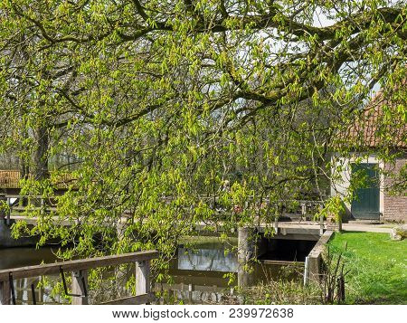 the netherlands near the City of eibergen