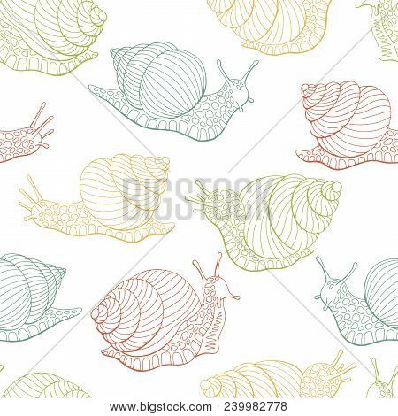 Snail Escargot Graphic Color Seamless Pattern Background Sketch Illustration Vector