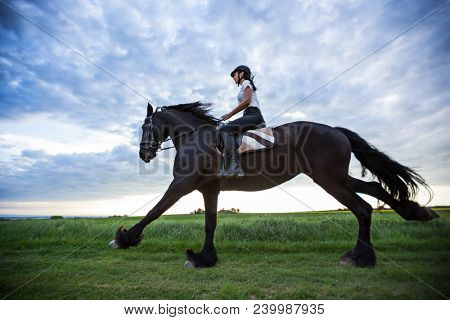 Beautiful woman riding a black friesian horse on spring meadow.