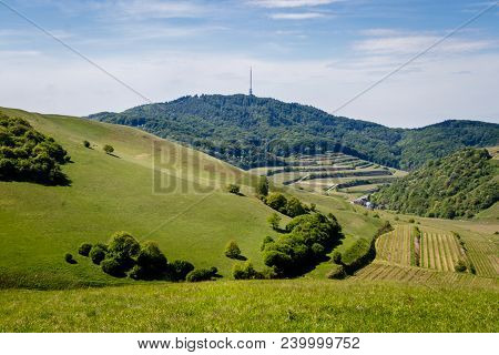 Looking At The Kaiserstuhl On Top Of The Badberg, Germany. Perfect Place To Do Some Hiking And Picni