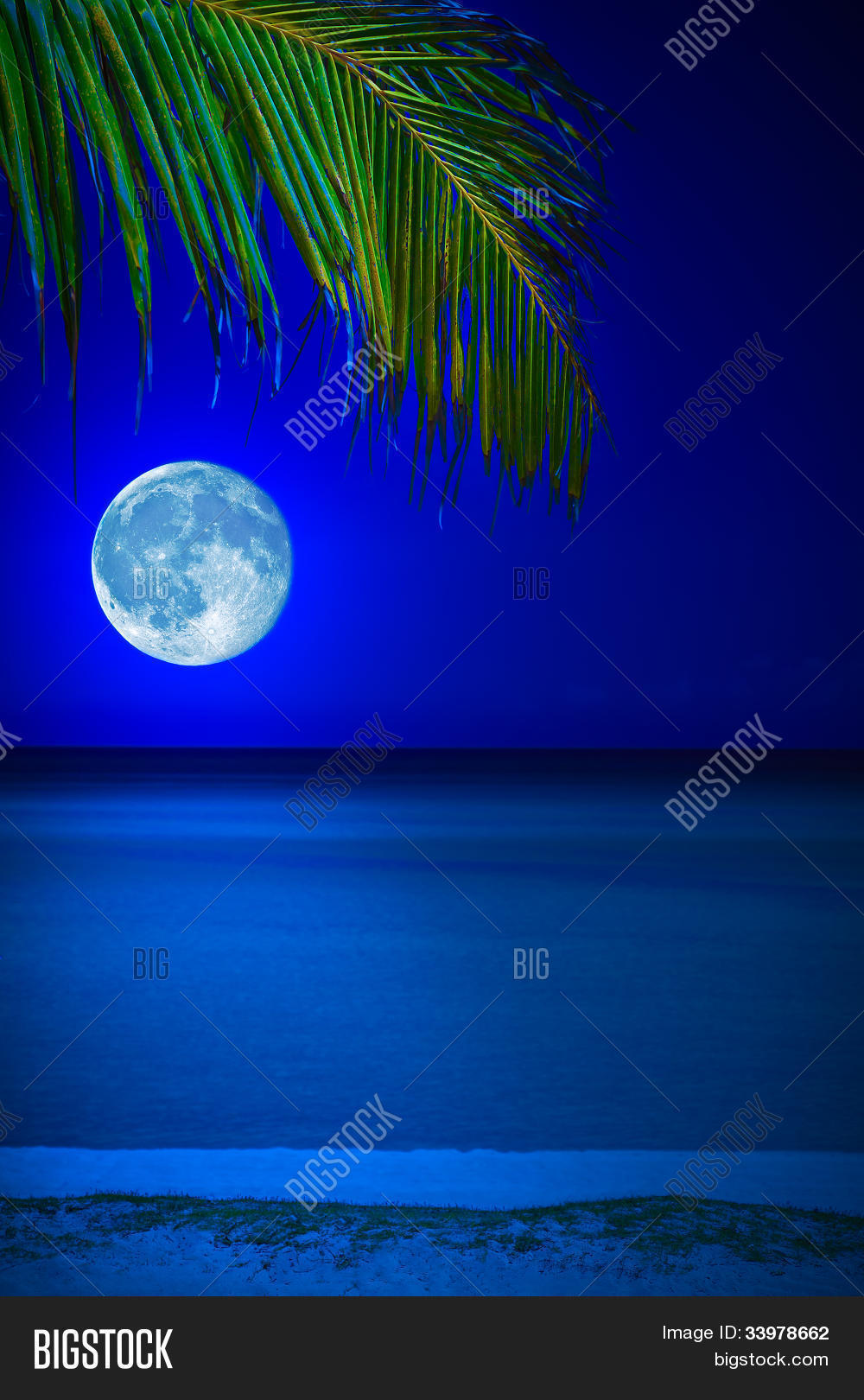 Tropical Beach Night Image Photo Free Trial Bigstock