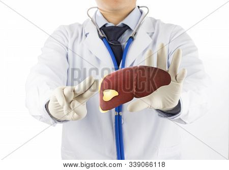 Doctor Touch Fatty On Liver , Concept Fatty Liver
